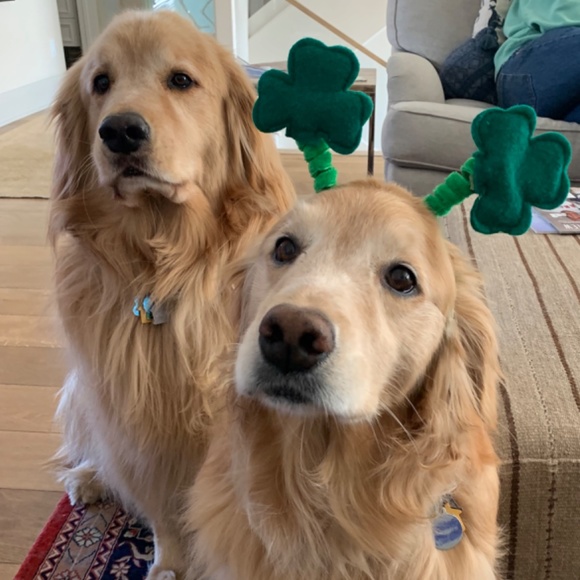 Meet your Posher, Mari - Picture 2 of 2